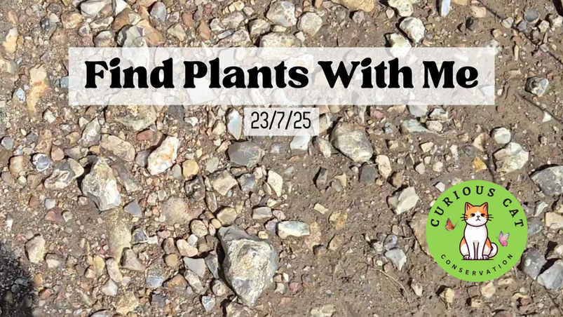 Find Plants With Me